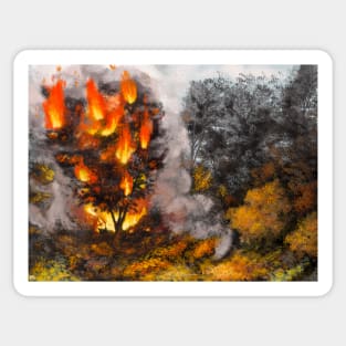 Tree Burning in a Clearing Sticker